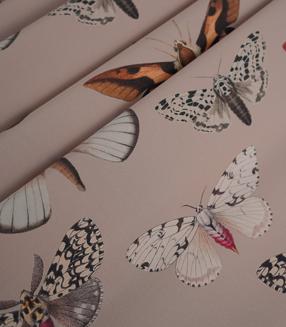 Tapeta Colorful Butterfly Pink