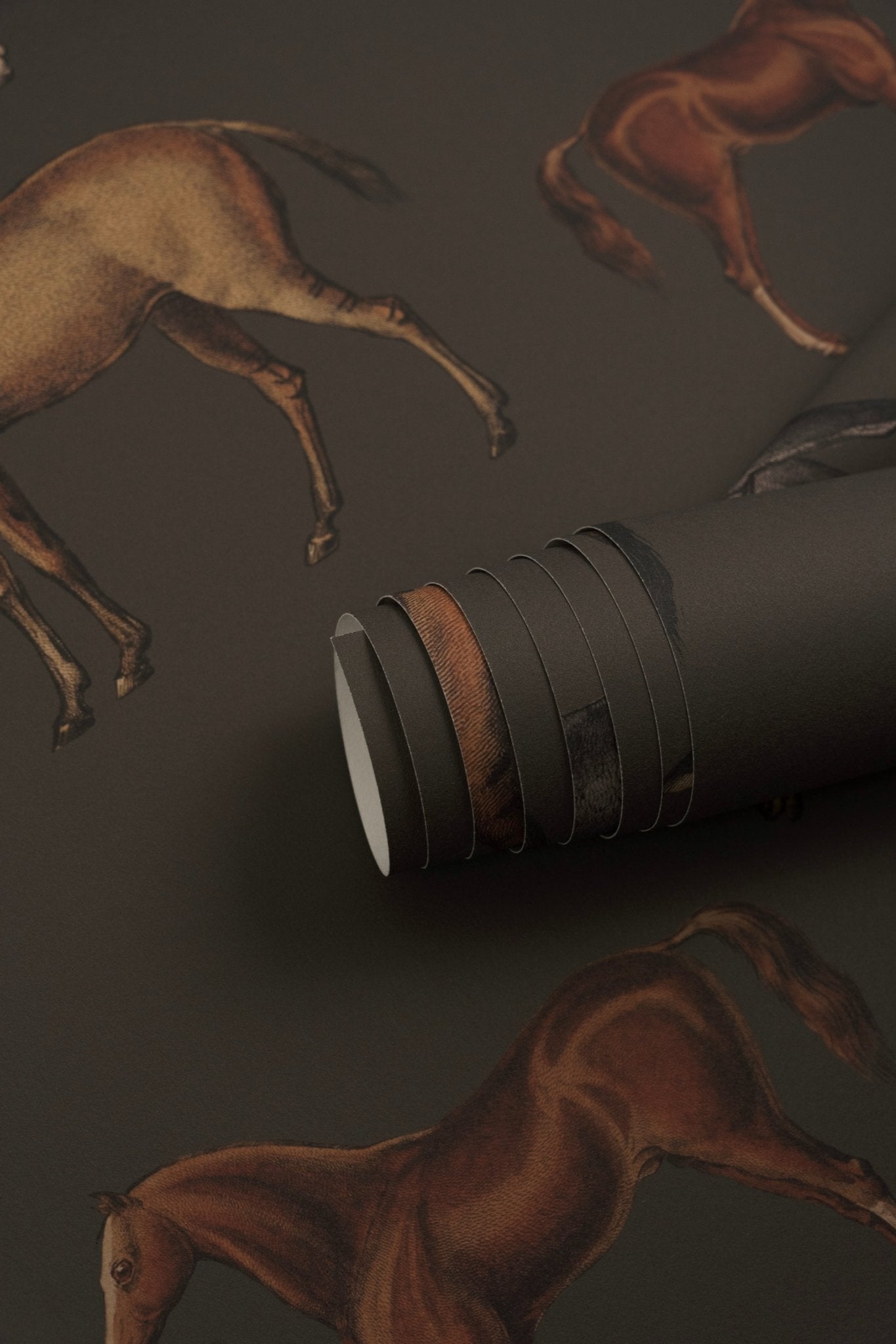 Tapeta Horses Olive - Wallcolors®