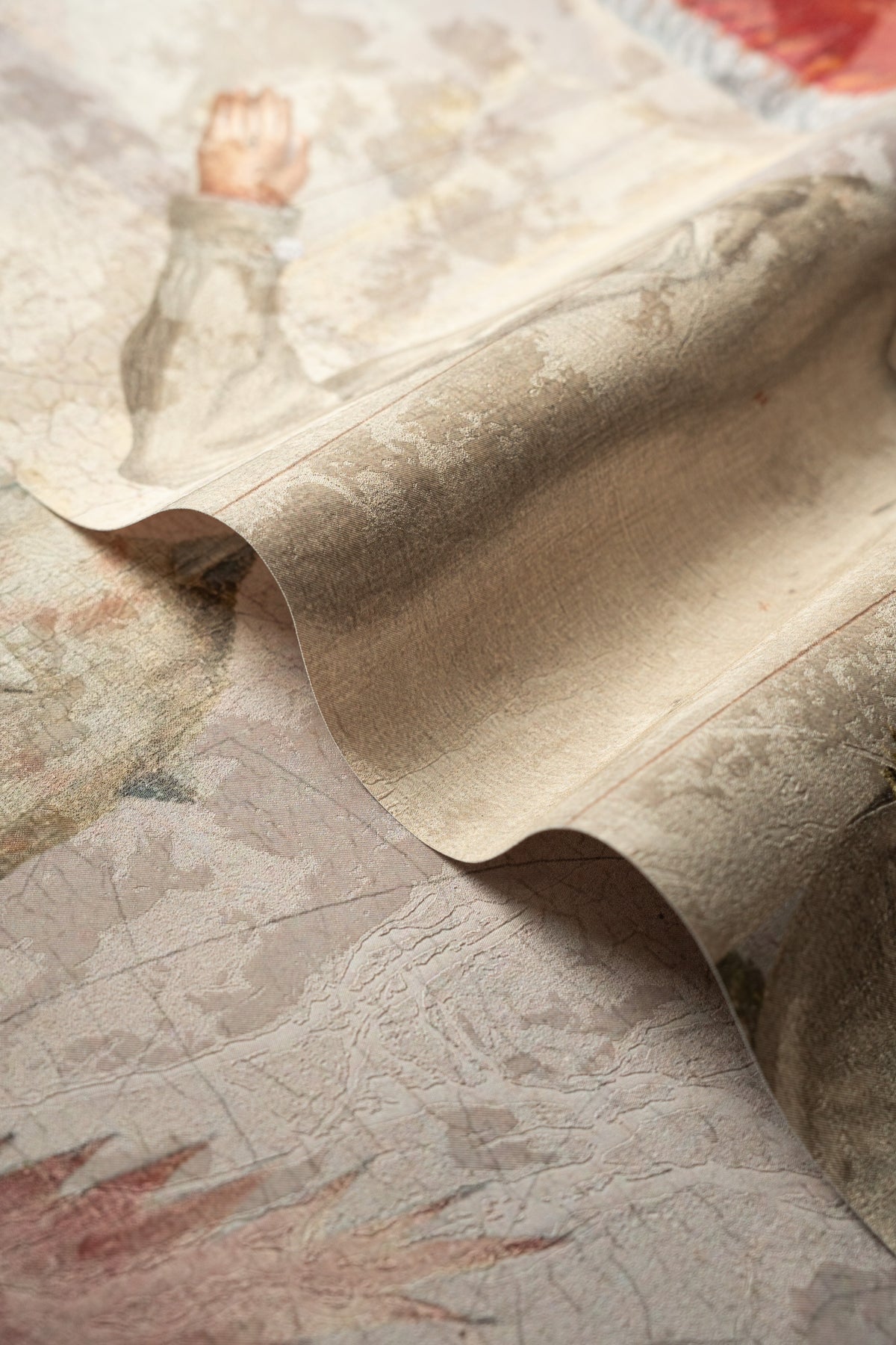 Papier peint Forbidden Mushroom