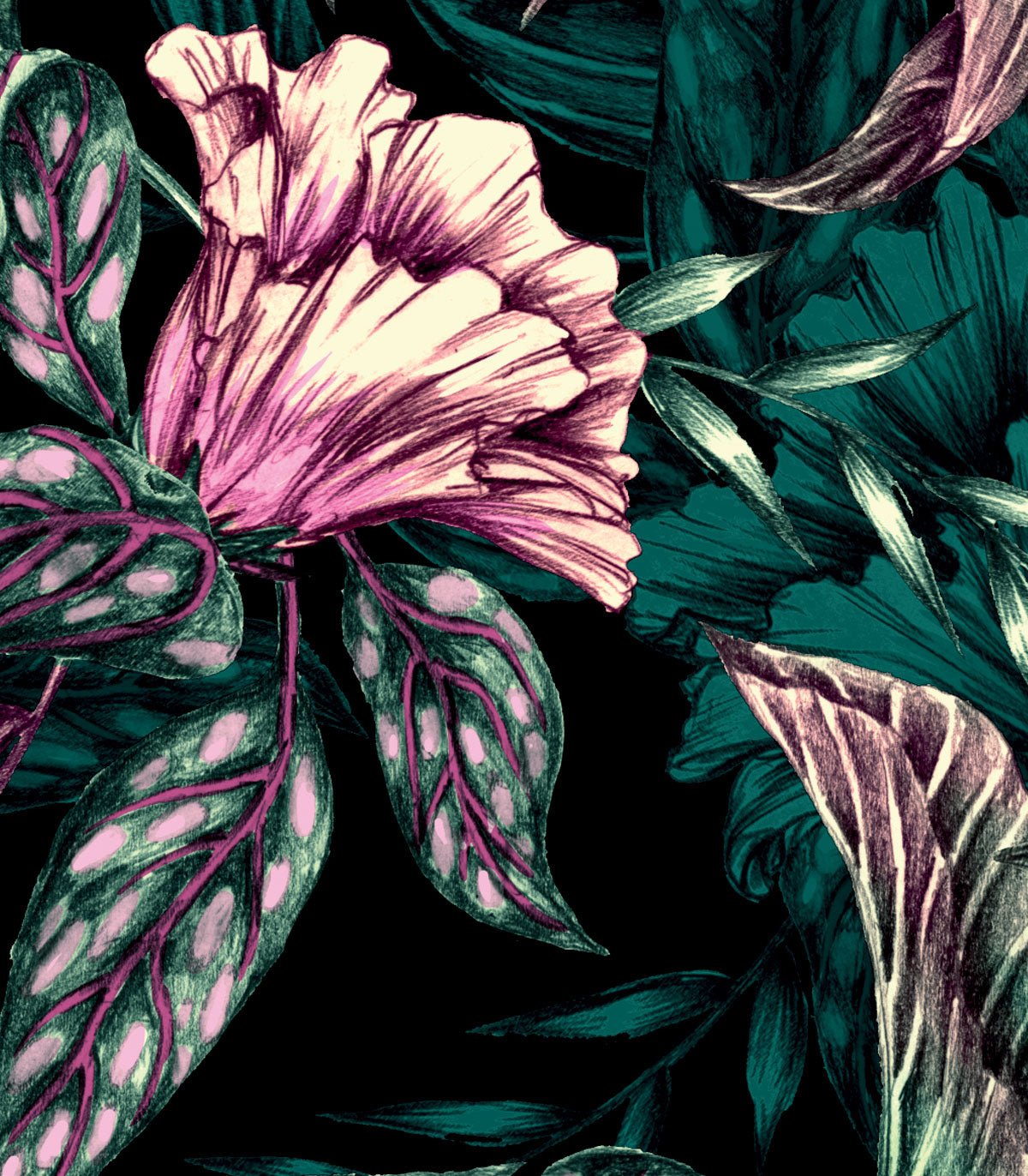 Tapeta Madagaskar - Wallcolors®