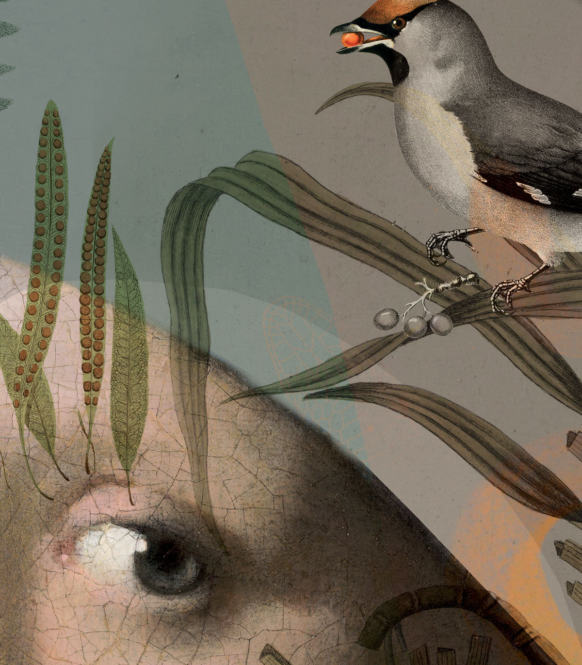 Papier peint Nature girl with the pearl