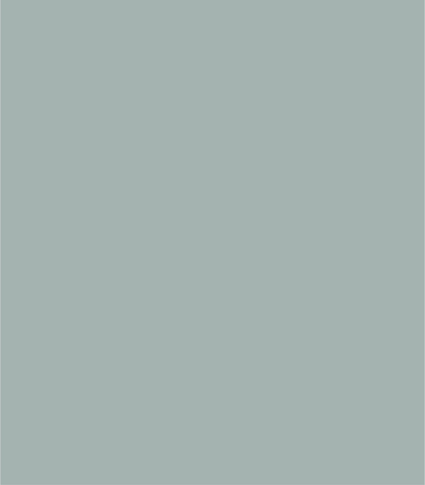 Arch Solid Soft Mineral - Wallcolors®