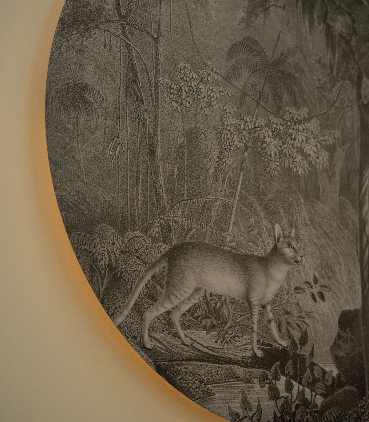 Dots Lighting Jungle Cat