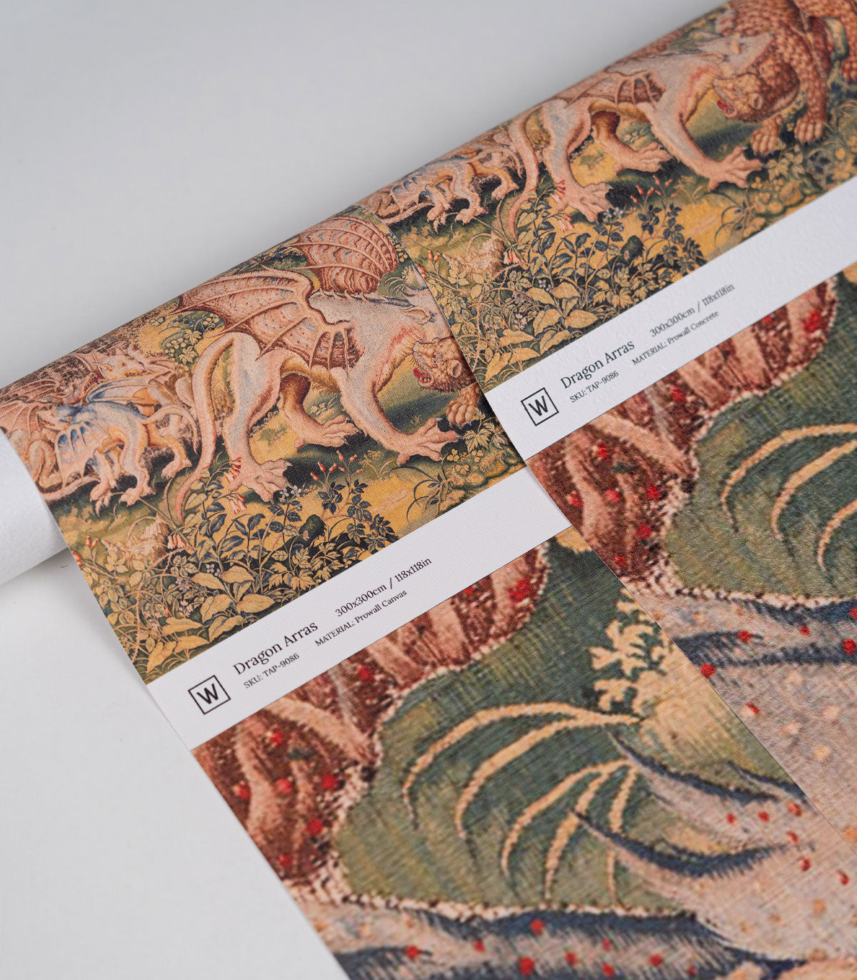 Papier peint Dragon Arras