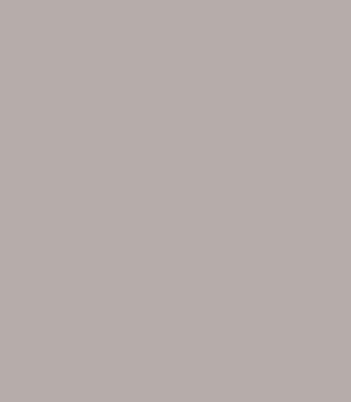 Elephant Gray 2109 - 50 - Wallcolors®