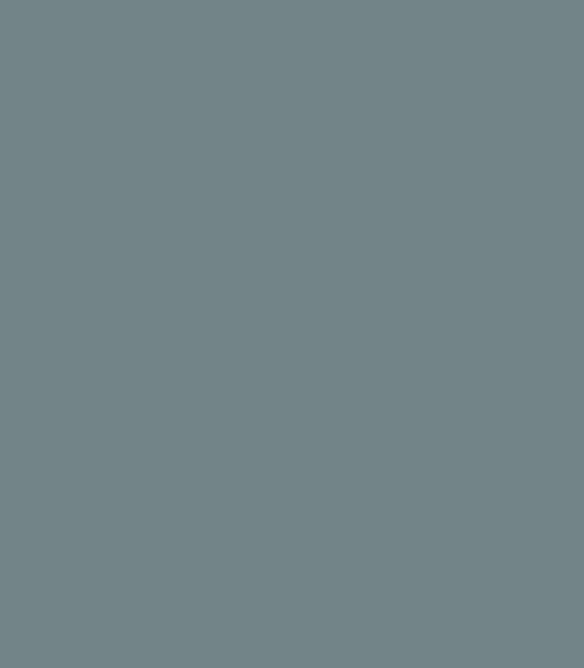 Smokestack Gray 2131 - 40 - Wallcolors®