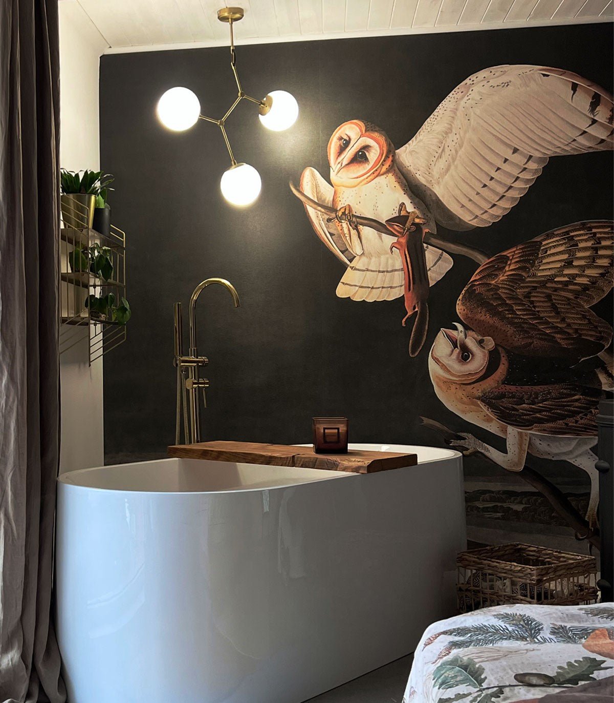 Tapeta Owls - Wallcolors®