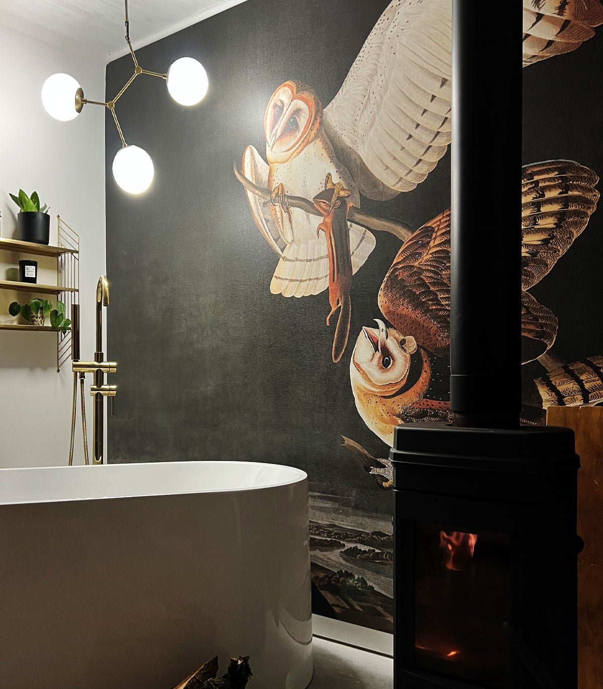 Tapeta Owls - Wallcolors®