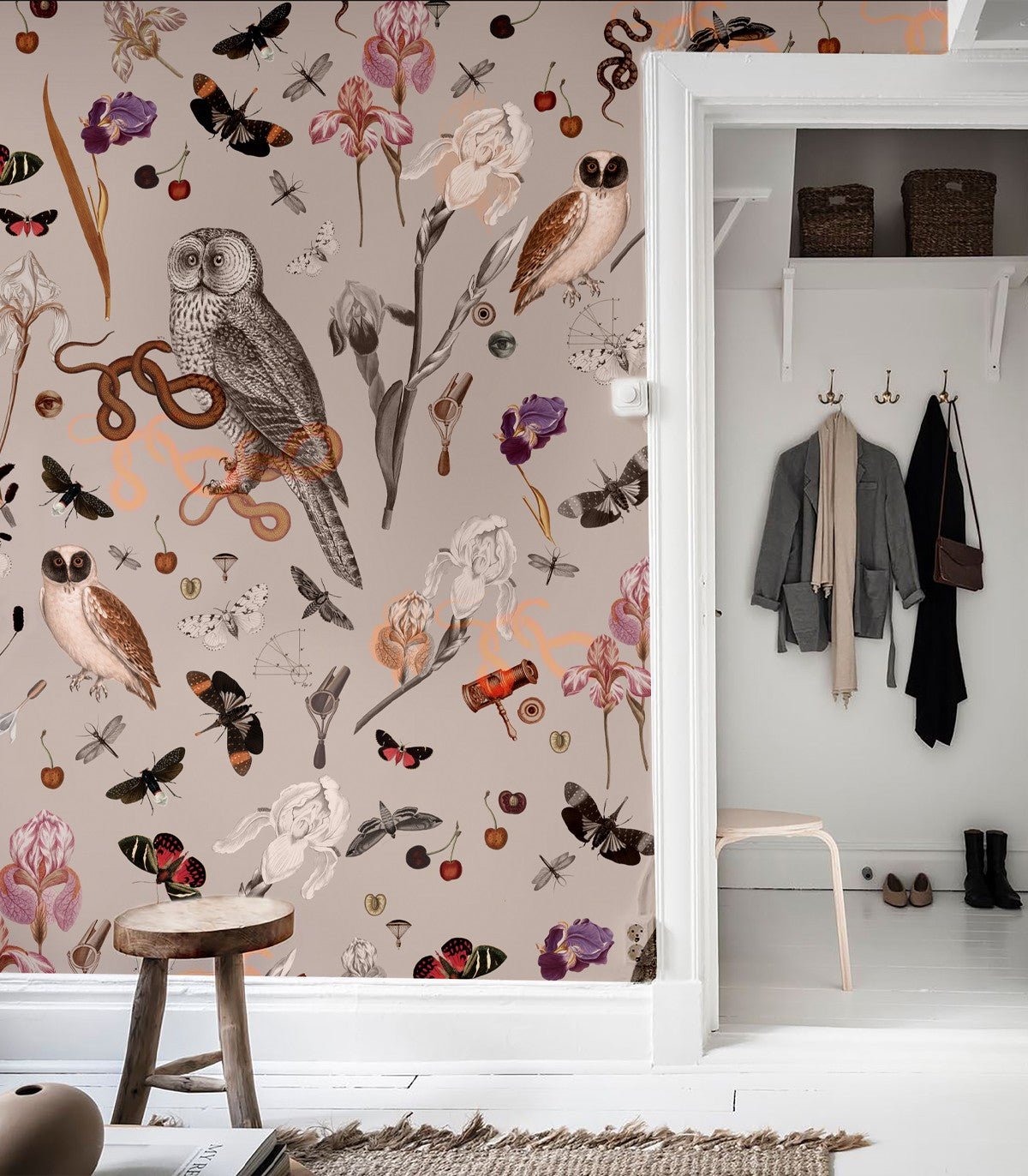 Tapeta Pink Owls - Wallcolors®