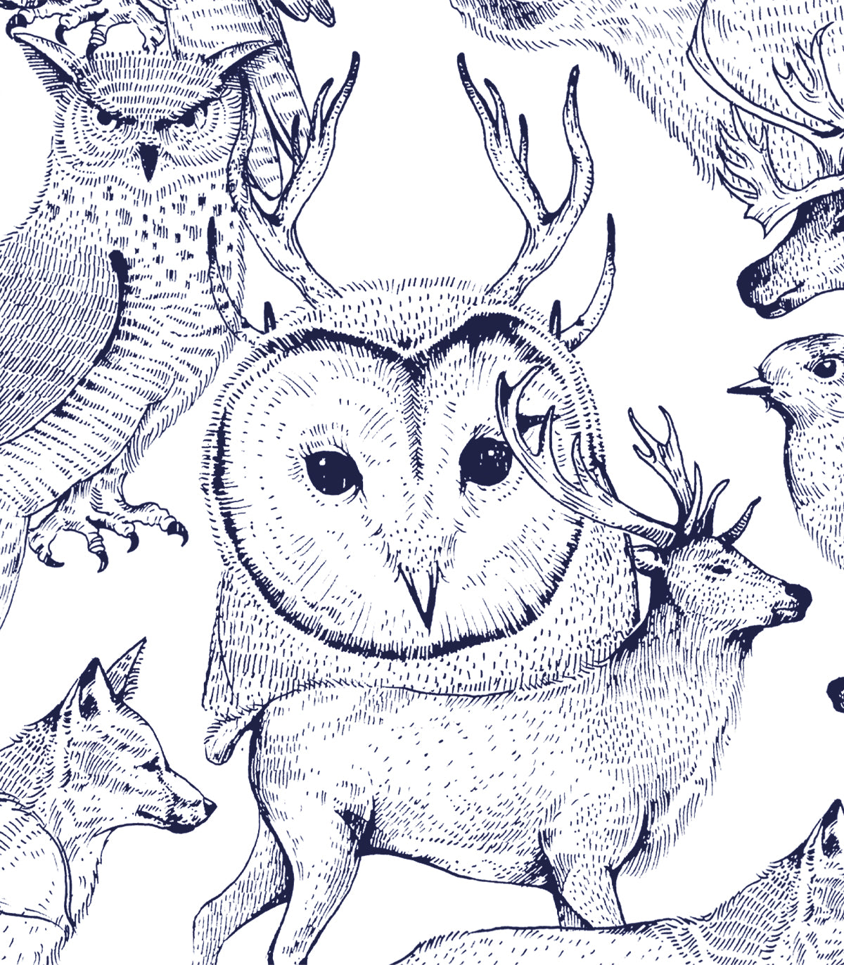 Tapeta Forest Friends