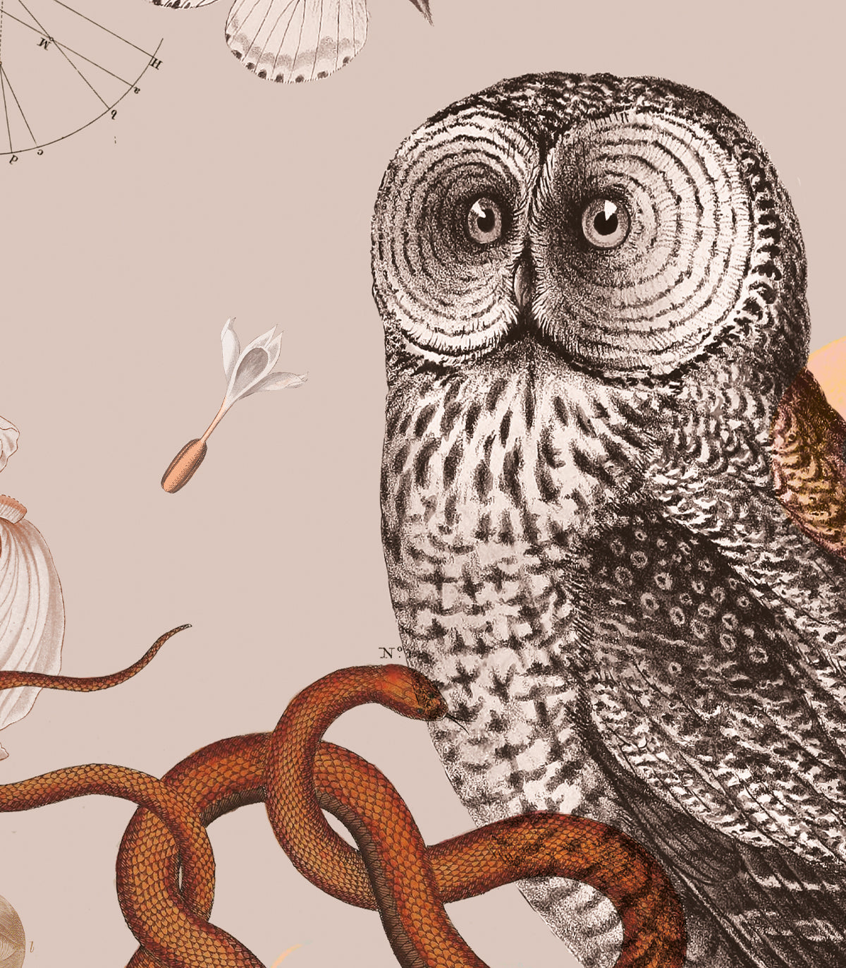 Arch Pink Owls