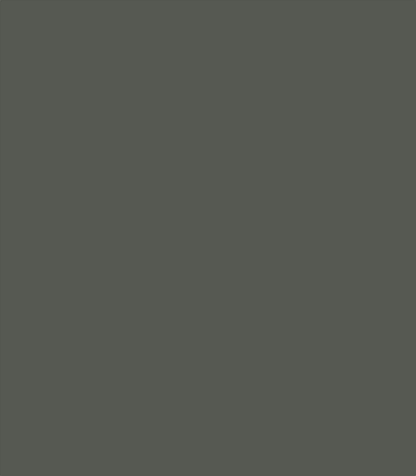 Arch Solid Soft Mineral