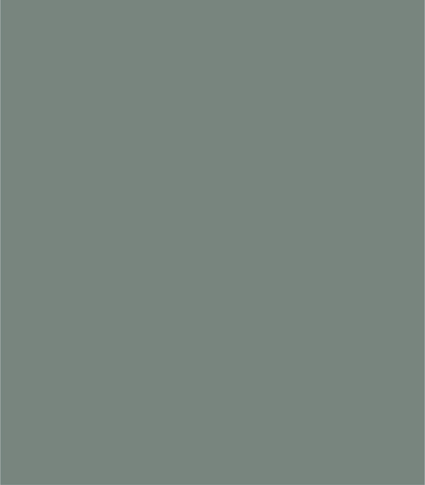 Arch Solid Soft Mineral