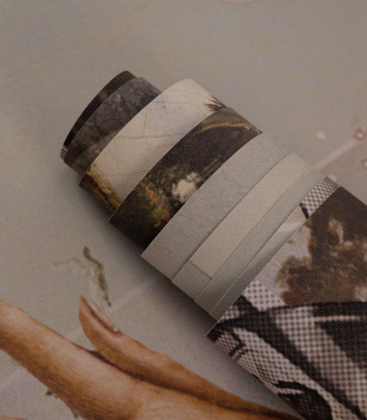 Tapeta Stardust safari