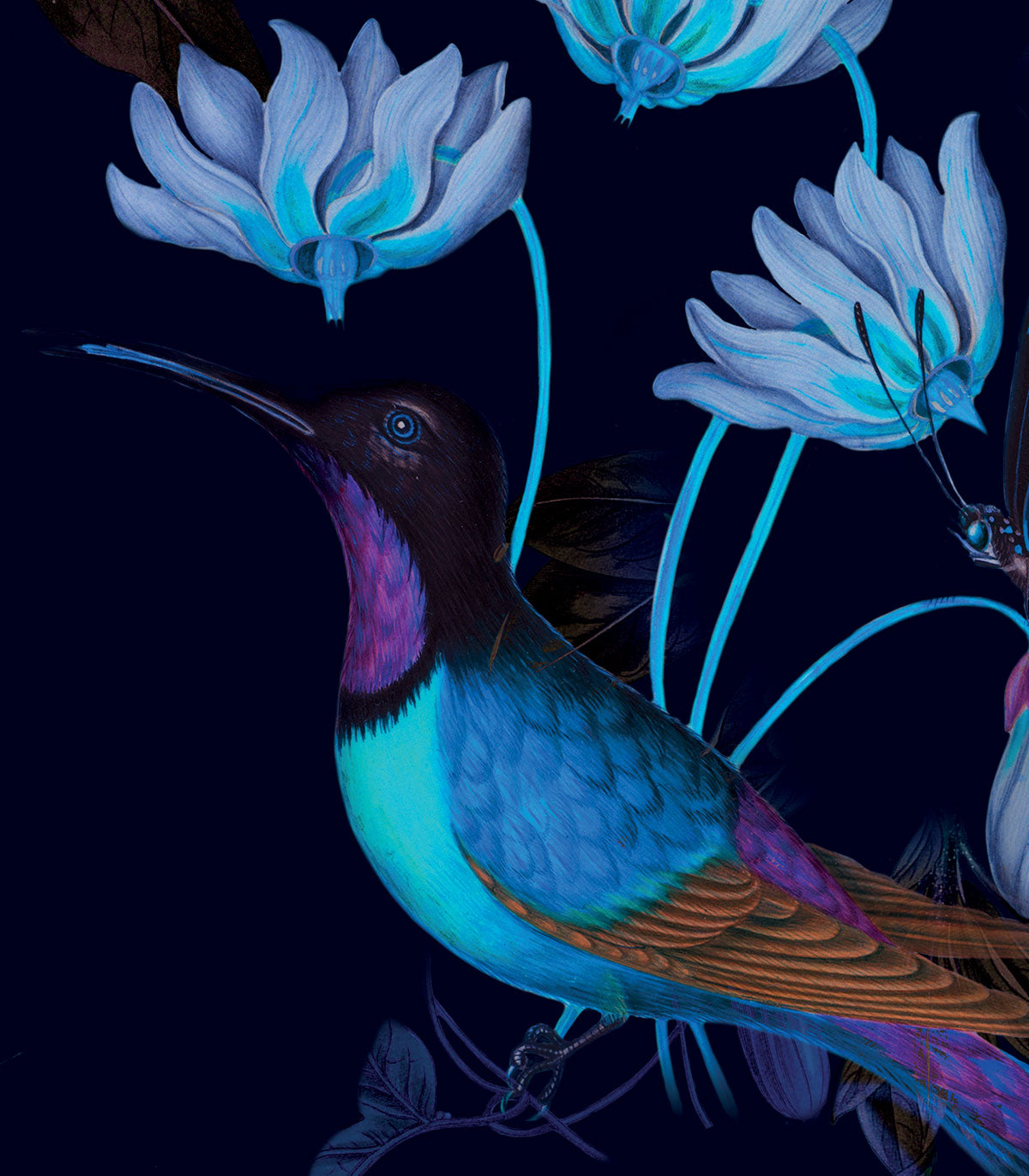 Dots Toxic Hummingbirds