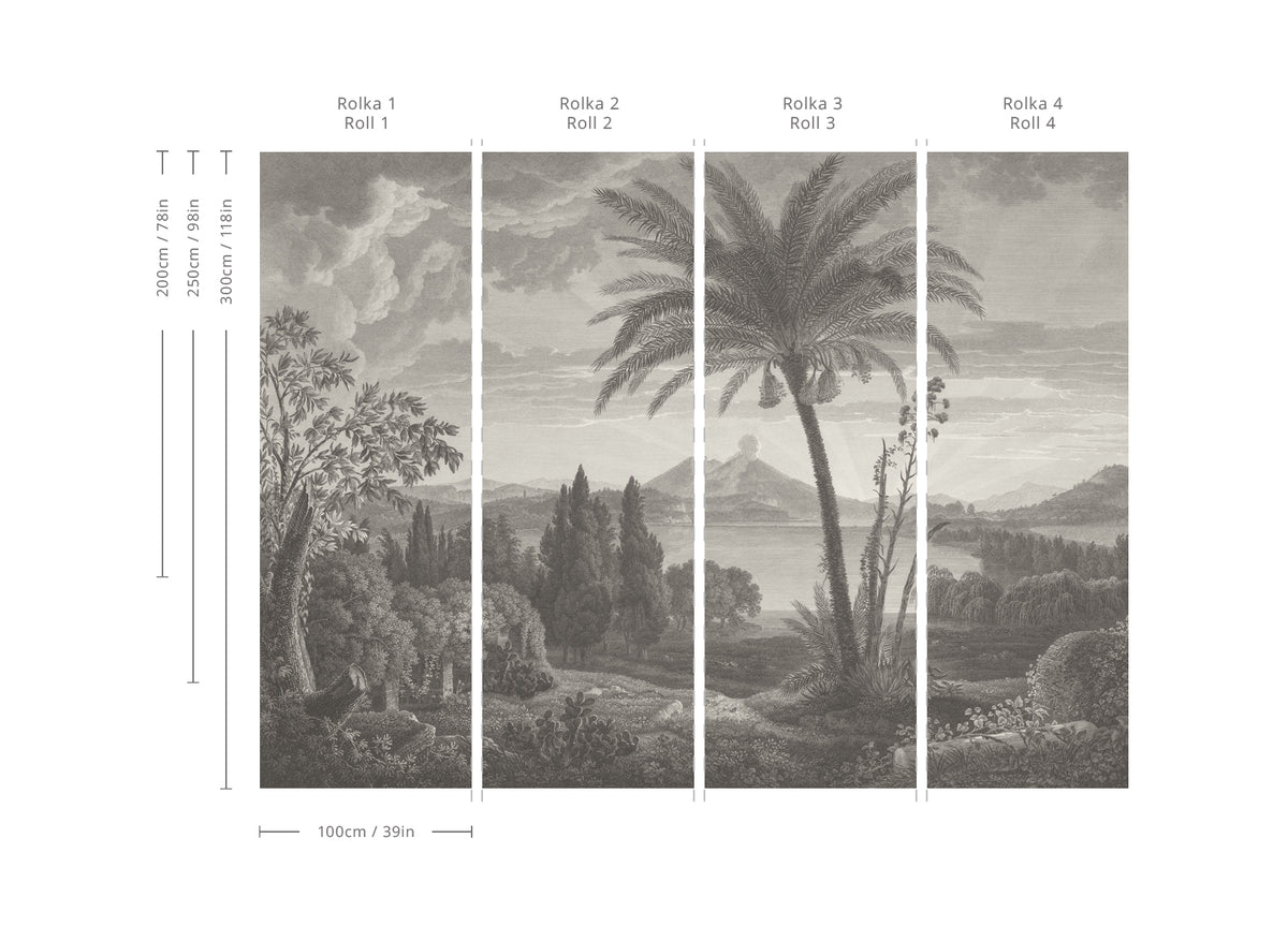 Papier peint Tropical Volcano Vista