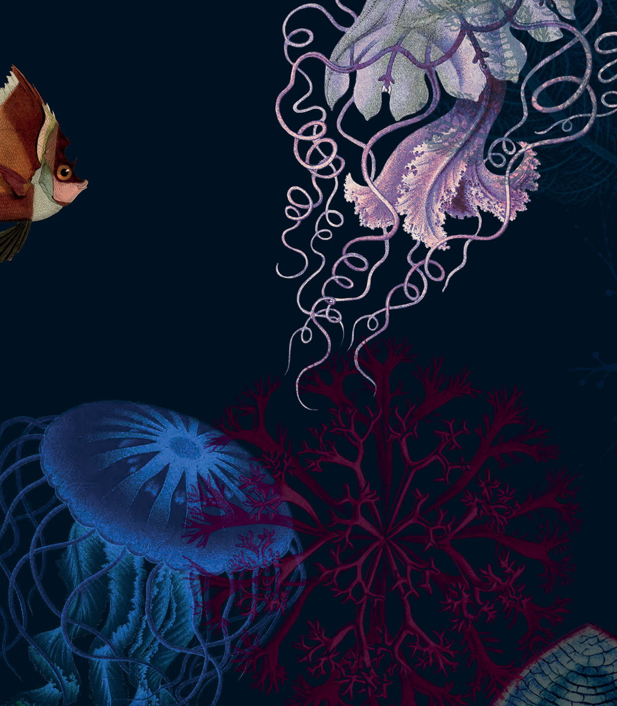 Tapeta Underwater World