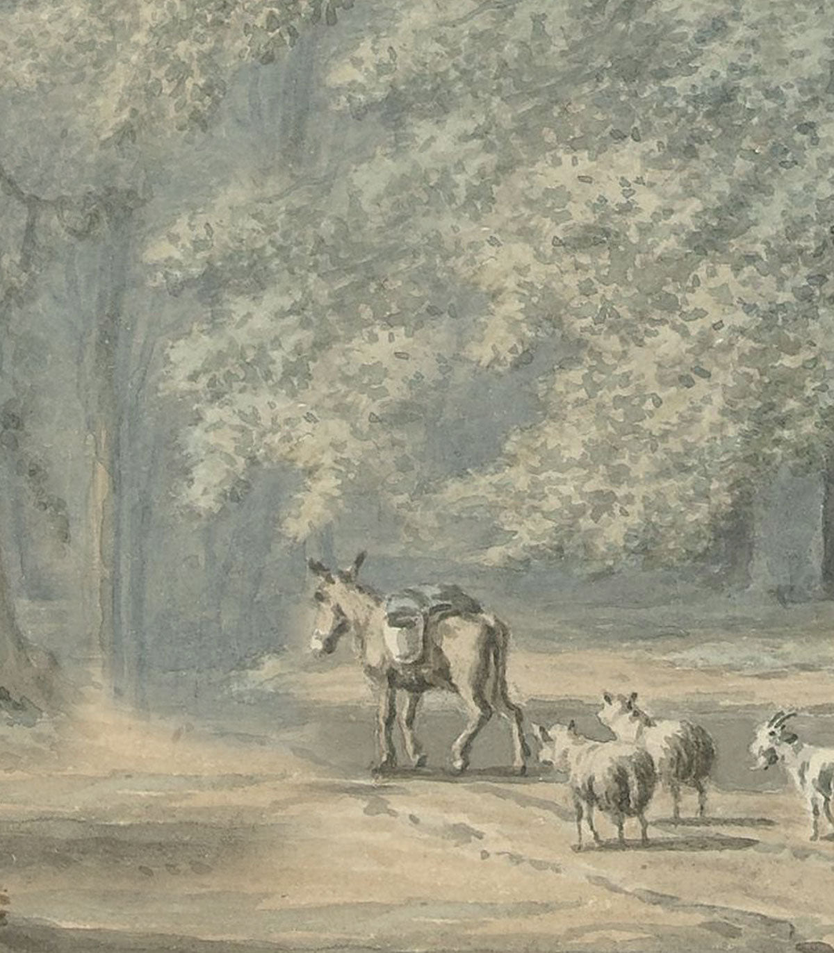 Tapeta Watercolor Grove