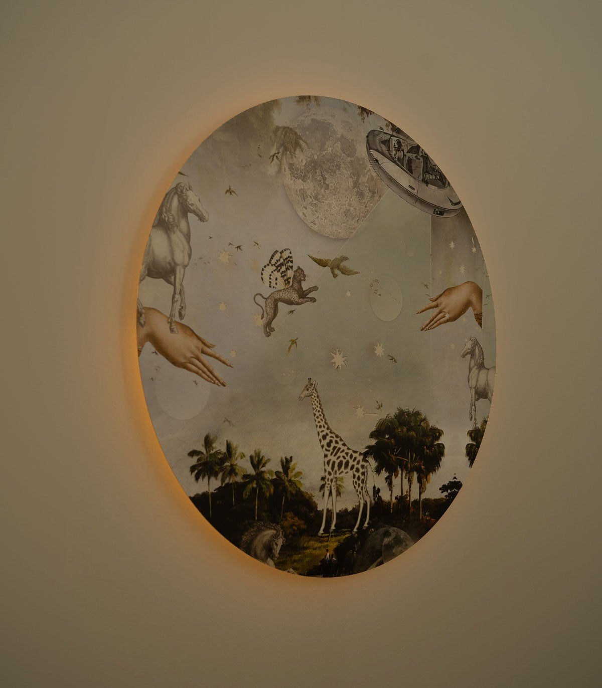 Dots Lighting Stardust safari