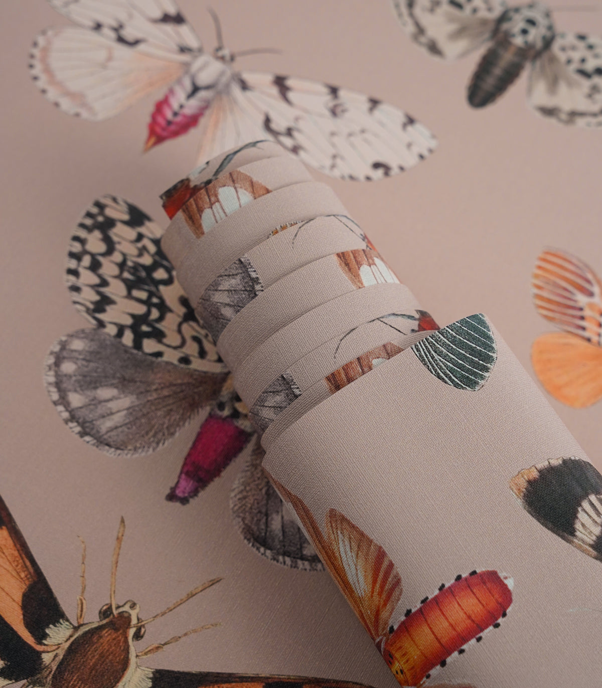 Tapeta Colorful Butterfly Pink