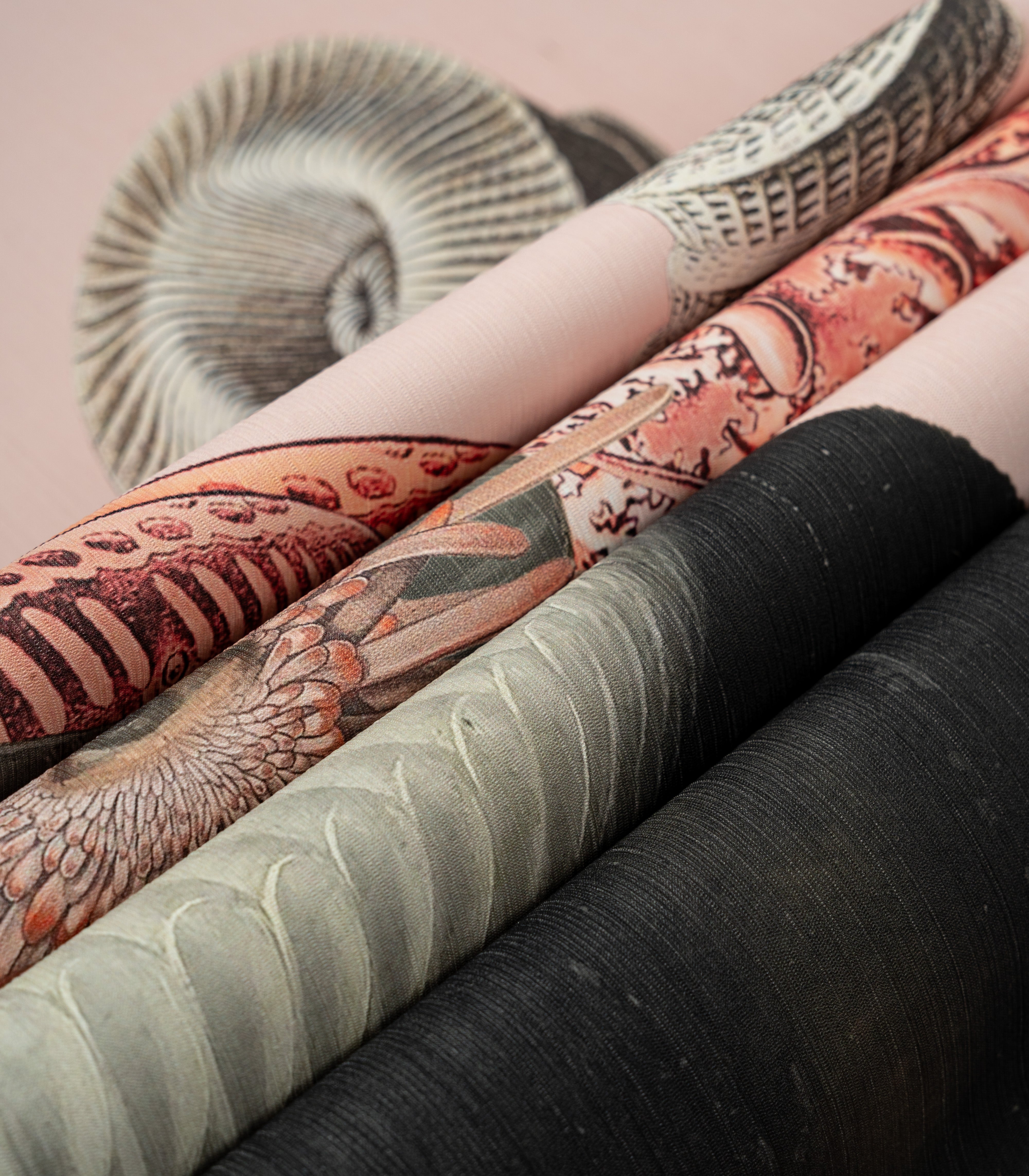 Tapeta Lady Medusa Pink