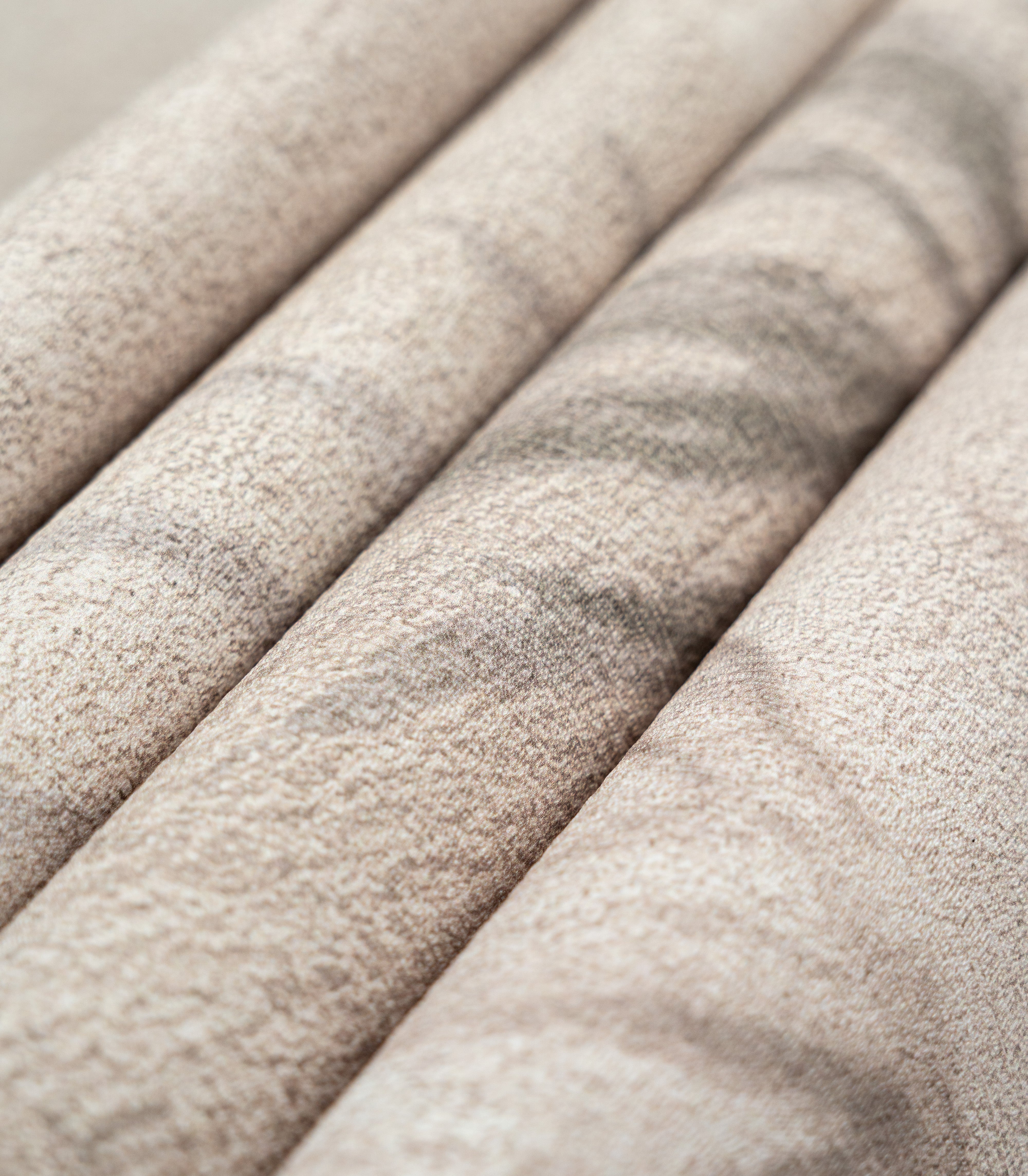 Tapeta Dry grass beige