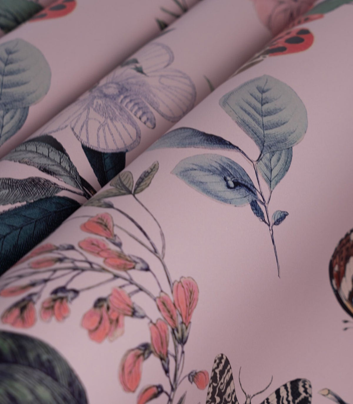 Tapeta Butterfly Rowan Pink