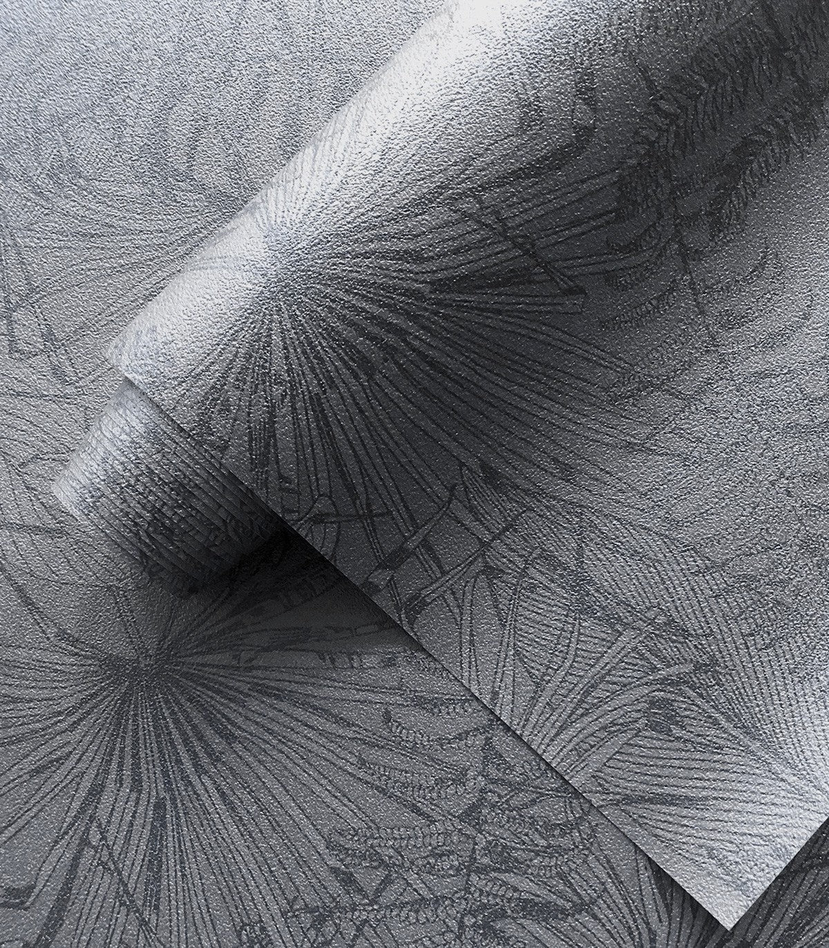 Tapeta Leaves Composition